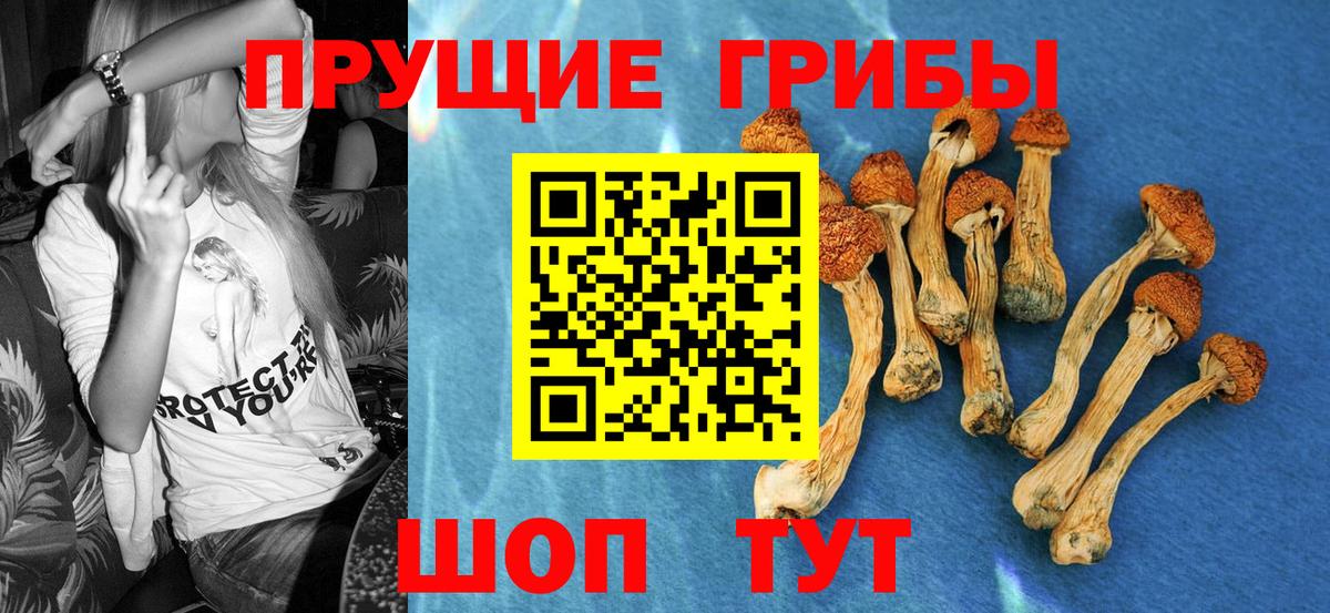 Казань  Галлюциногенные грибы Cubensis  Вход с VPN 